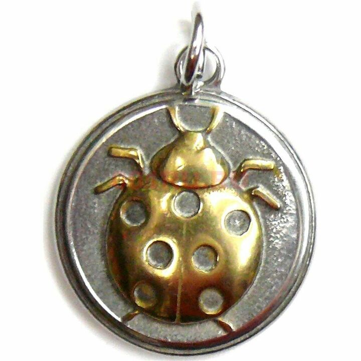 amulet ladybug - მოაქვს ფინანსური იღბალი